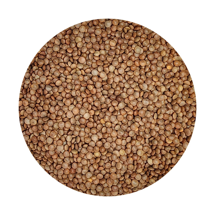Lentils