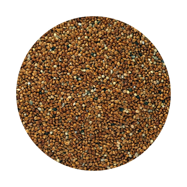 Millet Red