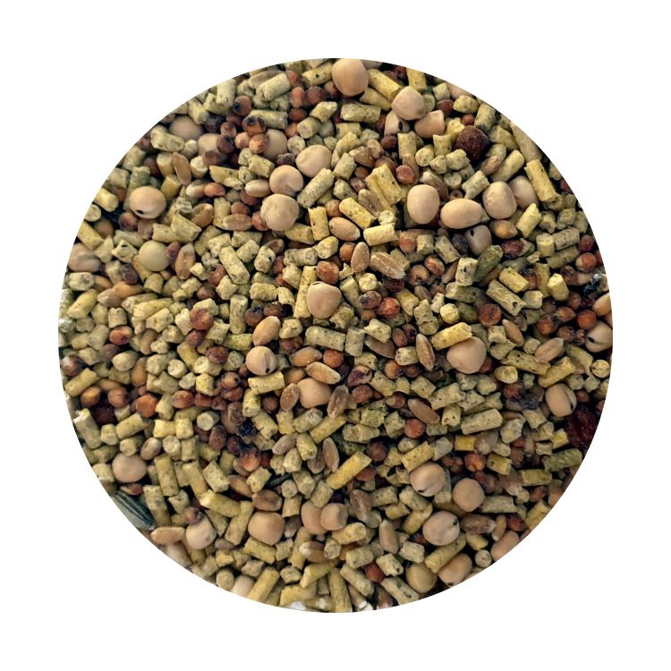 Breeding Small Kernel