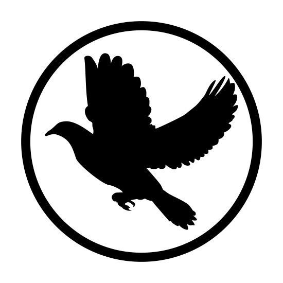Pigeon Feed