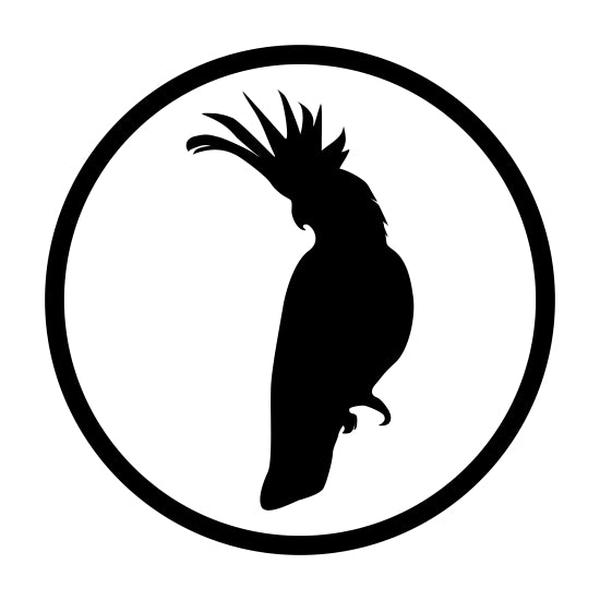 Bird Feed