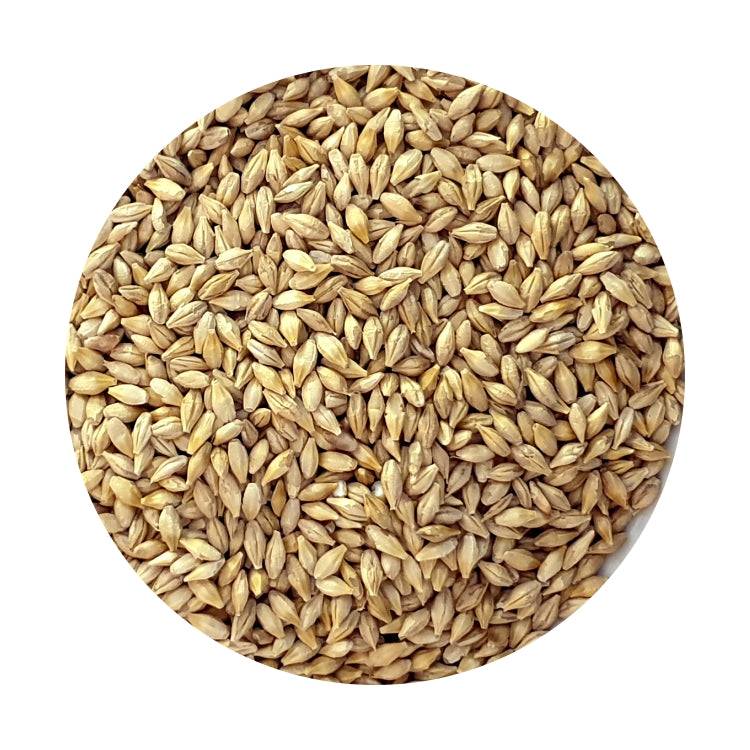 Barley – Goldwing