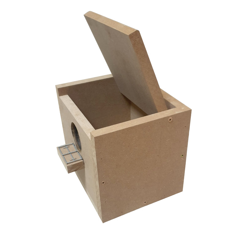 Nesting Box Budgie