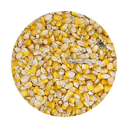 Econo Maize