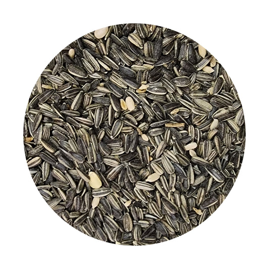 Econo Sunflower