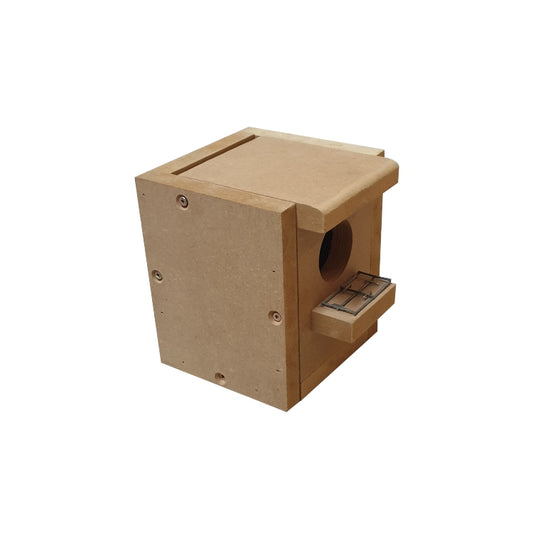 Nesting Box Finch