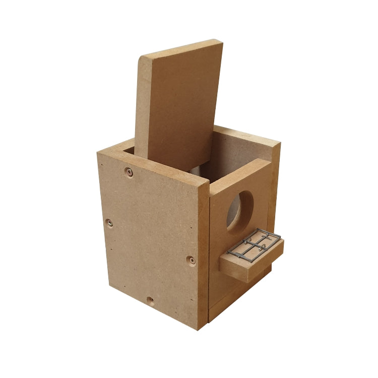 Nesting Box Finch