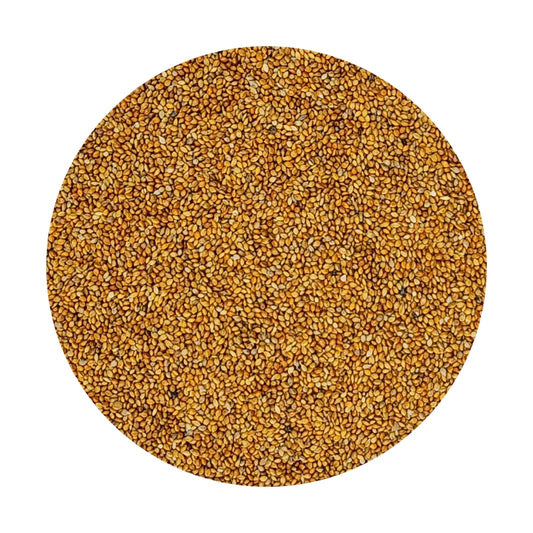Panicum Red