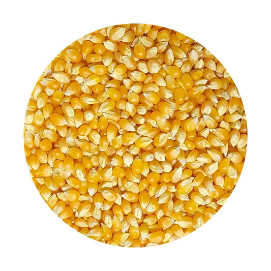 Popcorn