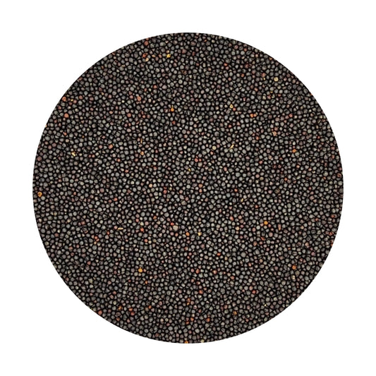 Rape Seed