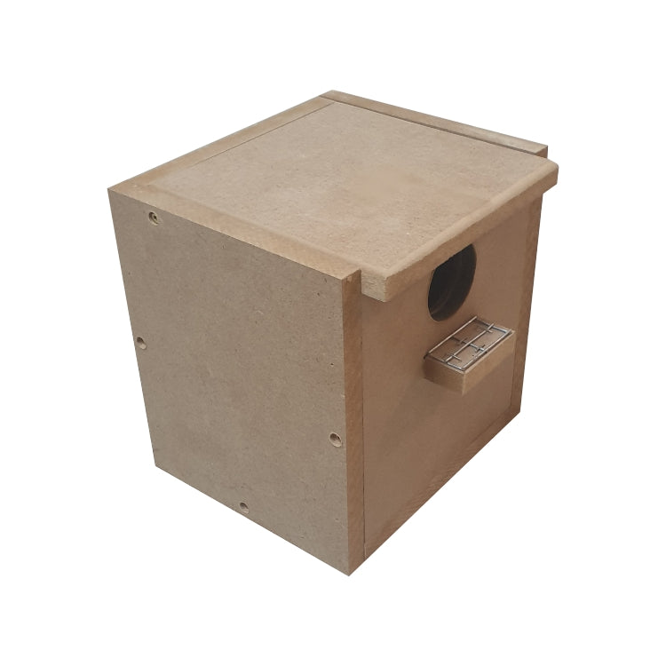 Nesting Box Show Budgie
