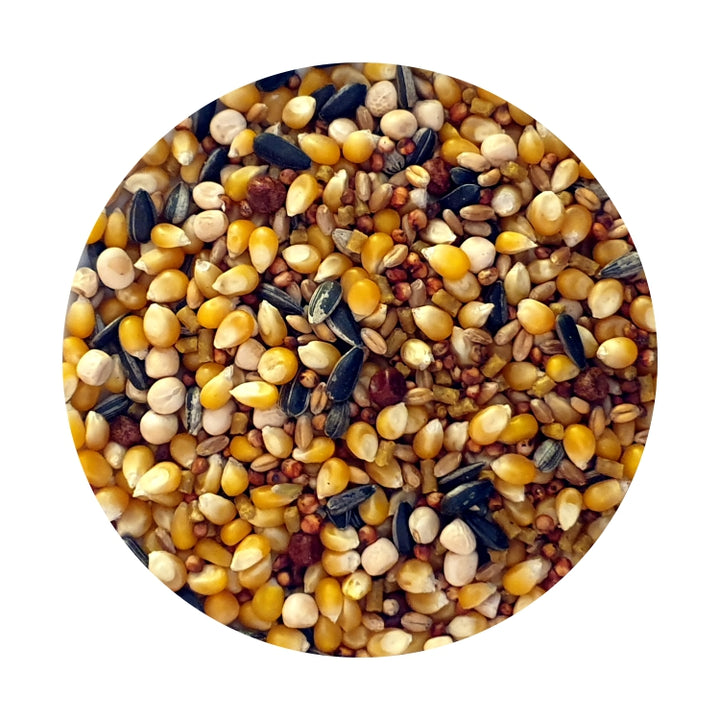 Pigeon Feed – Goldwing