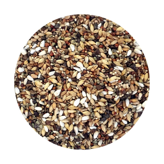 Goldwing Fine Seed