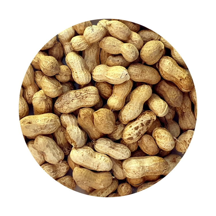Sweet Peanuts Shell Peanuts in Shell – Goldwing