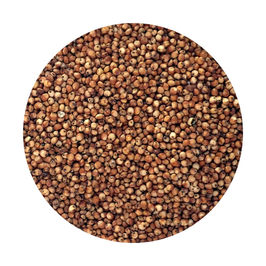 Sorghum Red